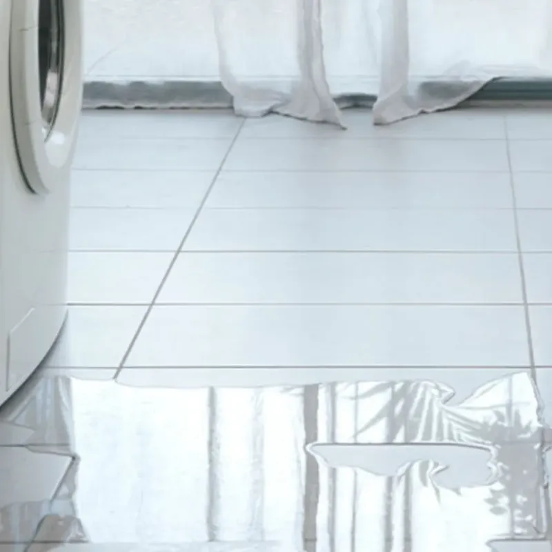 Appliance Leak Cleanup in Clayton, AL