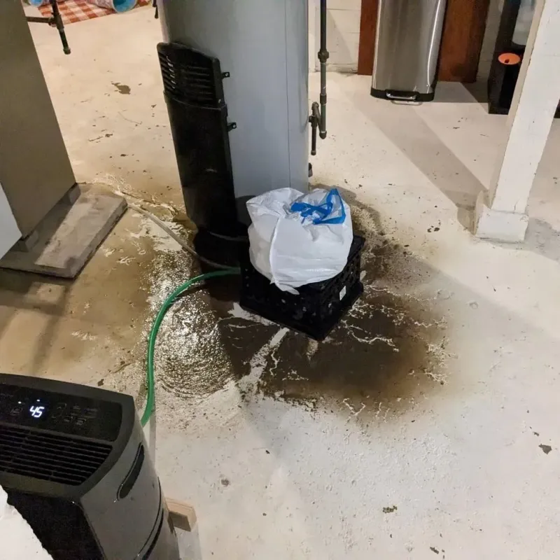 Sewage Backup Cleanup Service in Clayton, AL